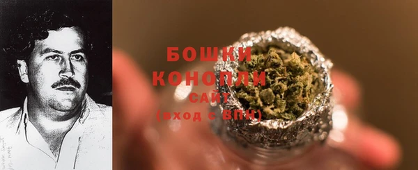 COCAINE Каменка